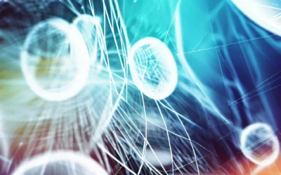 La importancia de las páginas web y los canales de divulgación en la Administración Pública