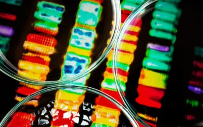 La importancia del análisis mediático sectorial especializado en 2025